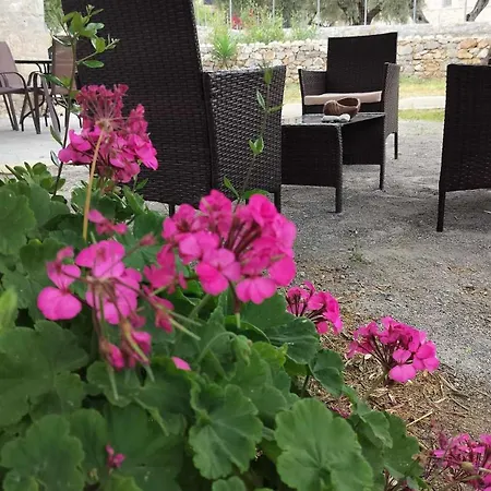 Apartment Almia Kotronas